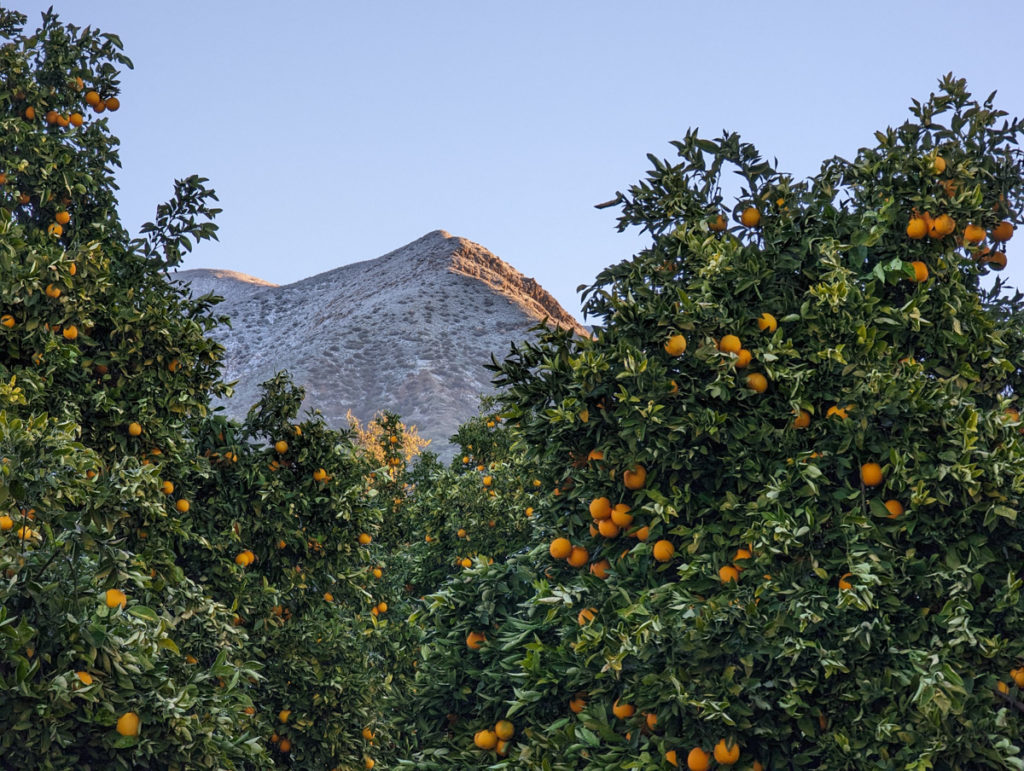 Orangen und Mountain