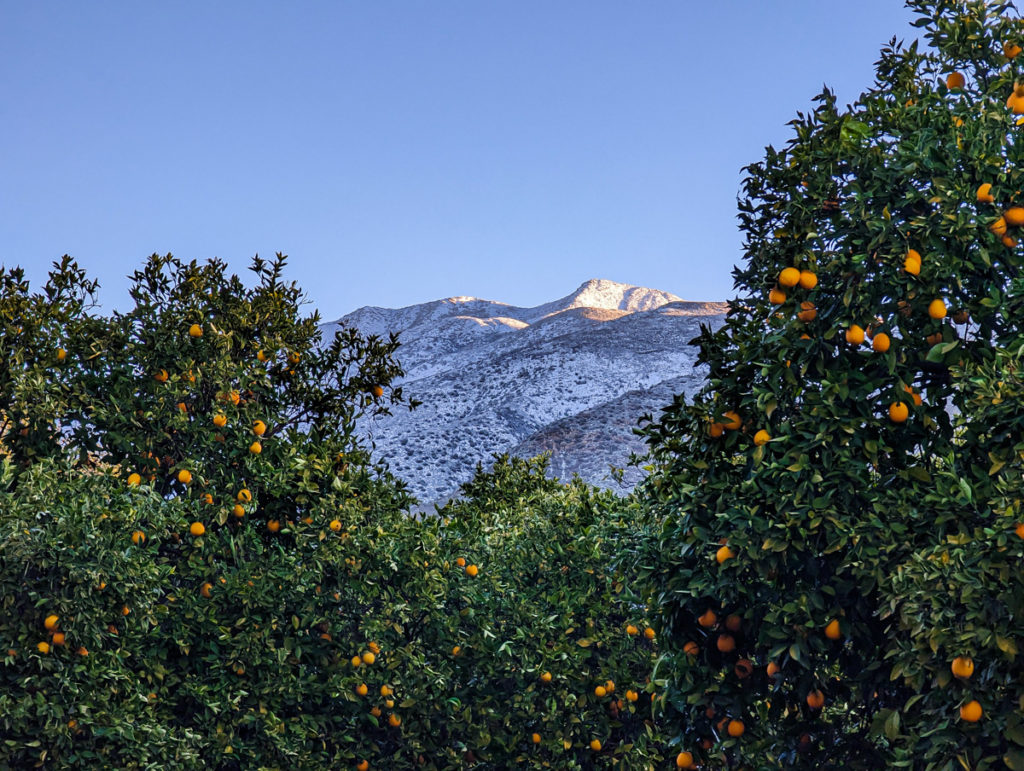 Oranges and Snowy Mountains